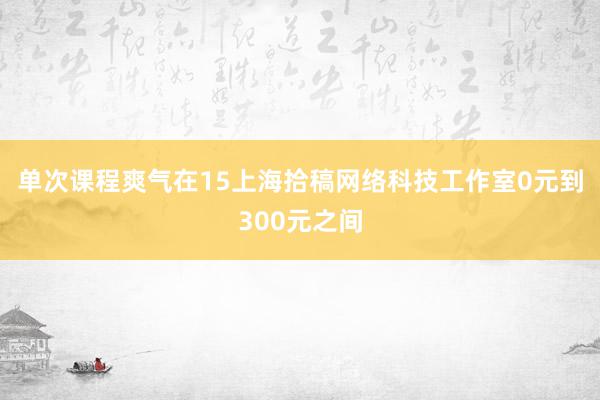 单次课程爽气在15上海拾稿网络科技工作室0元到300元之间