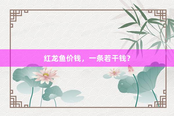 红龙鱼价钱，一条若干钱？
