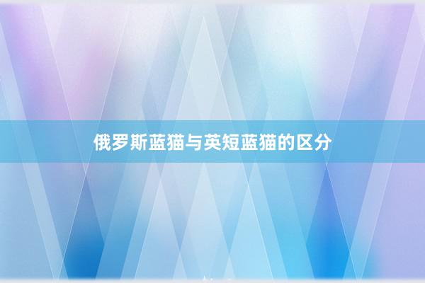 俄罗斯蓝猫与英短蓝猫的区分